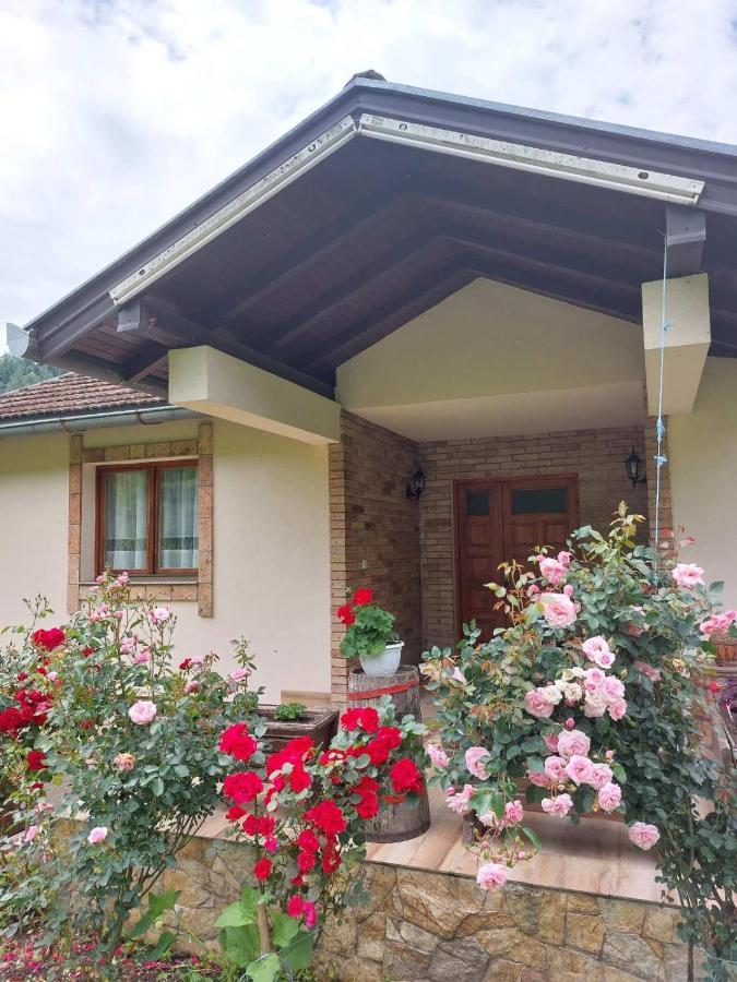 Apartment "Mira" Foca Dış mekan fotoğraf