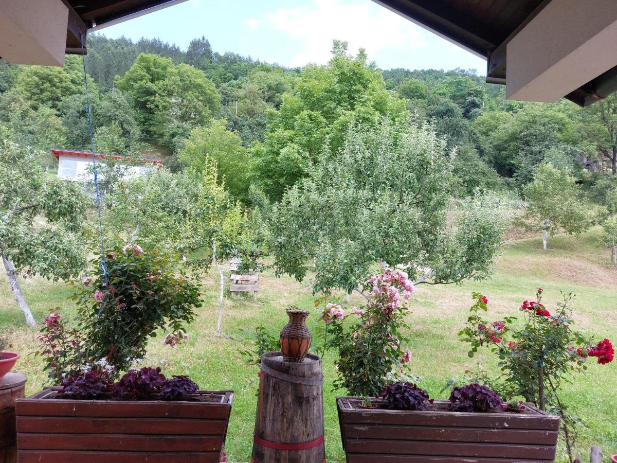Apartment "Mira" Foca Dış mekan fotoğraf