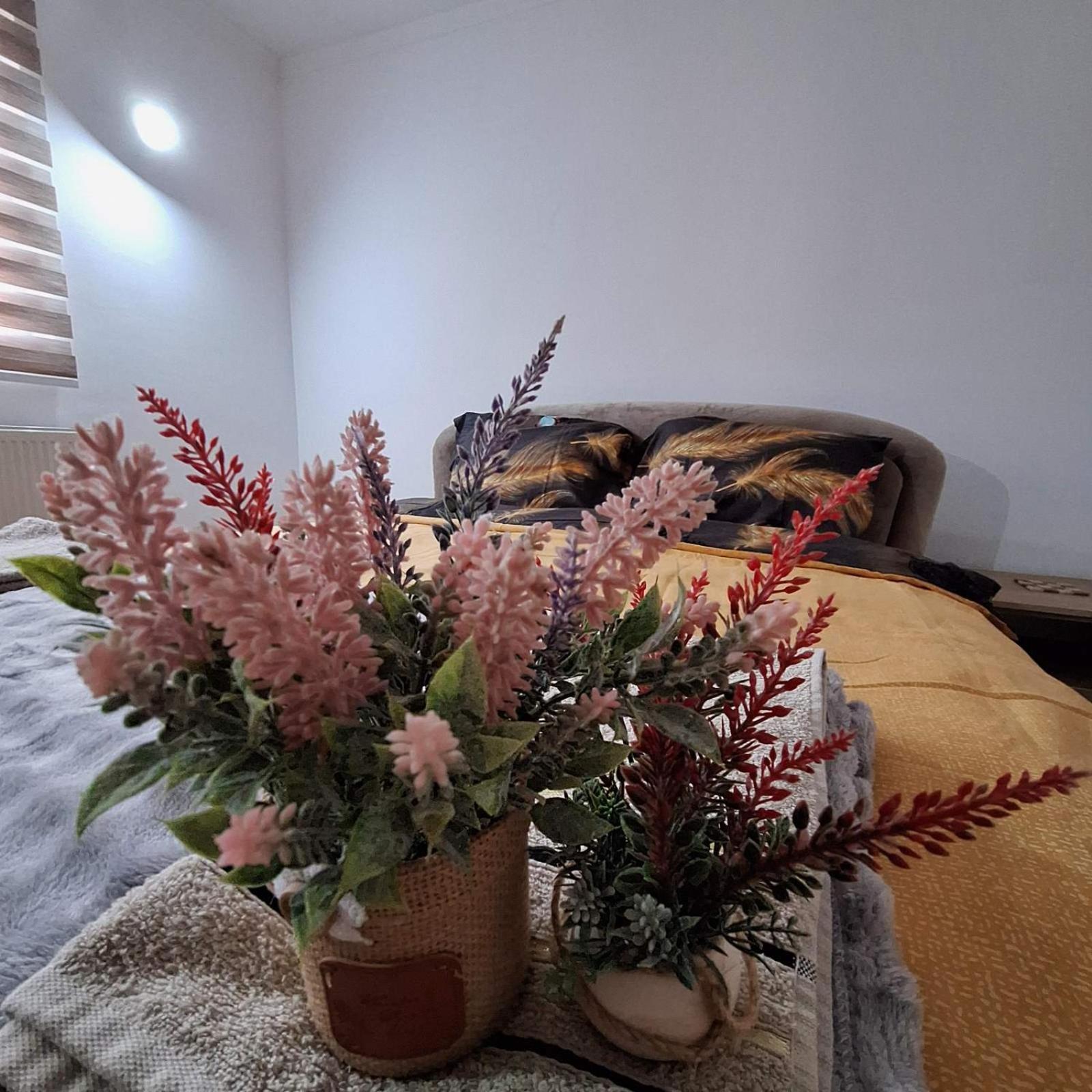 Apartment "Mira" Foca Dış mekan fotoğraf
